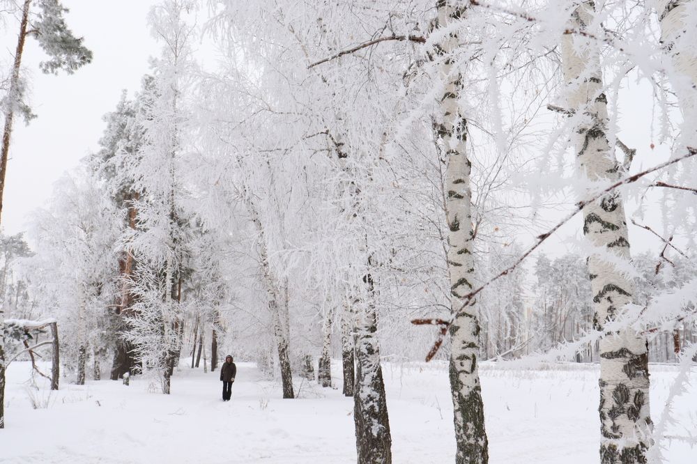 Photograph by Родосская Нонна