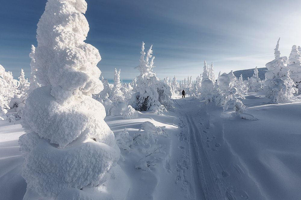 Снежная долина