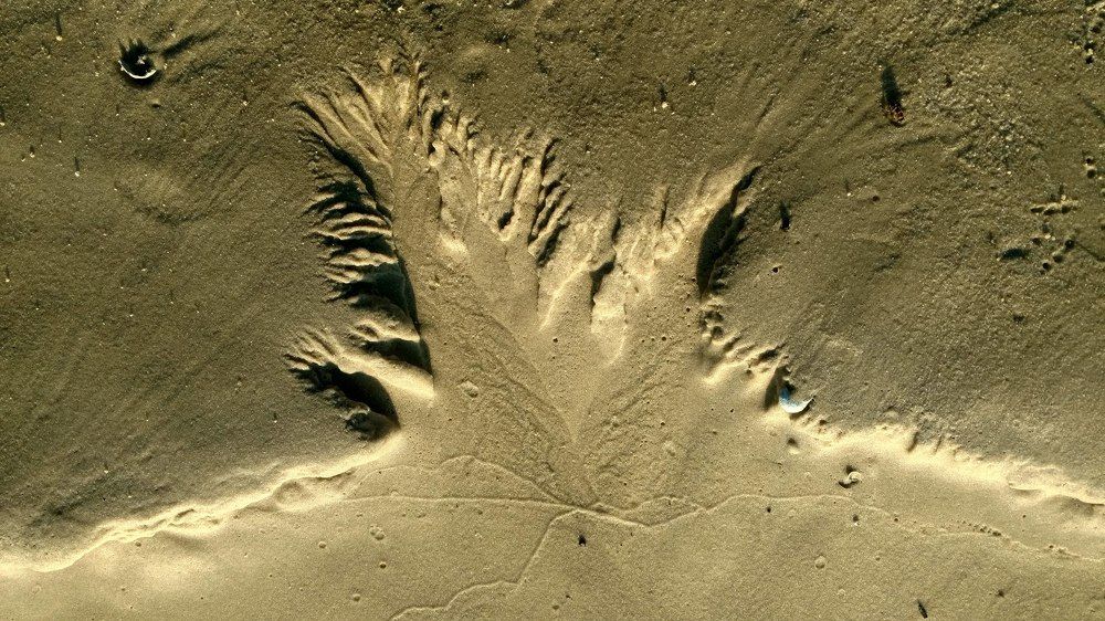 Terra incognita, another world