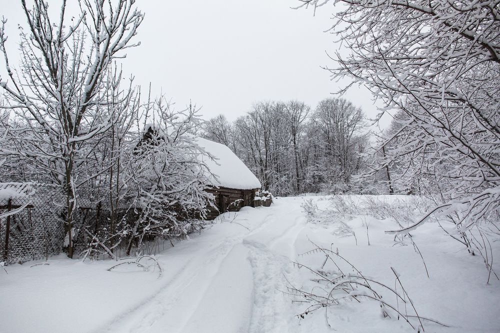 У леса на опушке