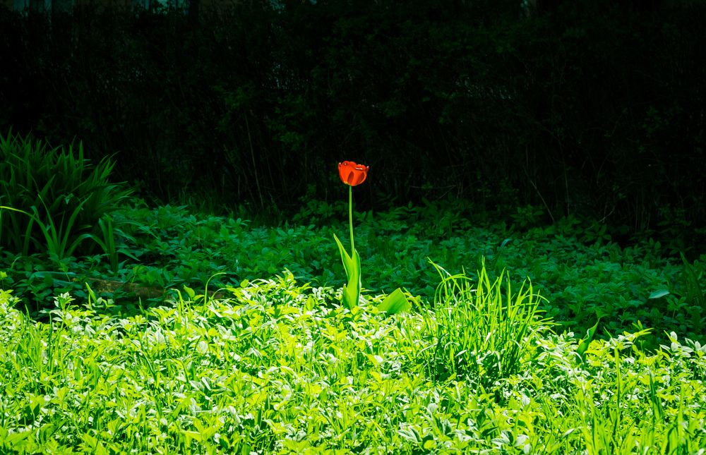 Beautiful and lonely...