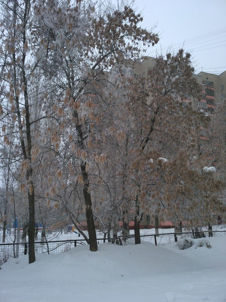 Photograph by Надежда Золотавина