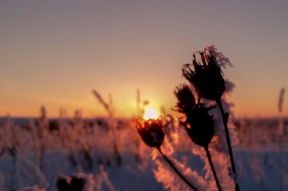 Photograph by Владислав Богаткин
