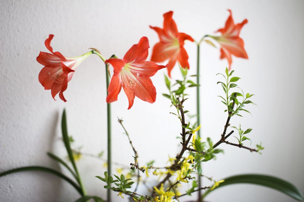 Photograph by Анастасия Ярмак