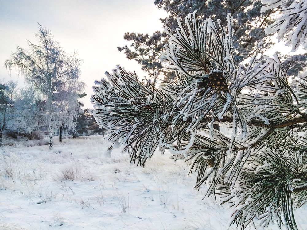 Photograph by Владислав Богаткин