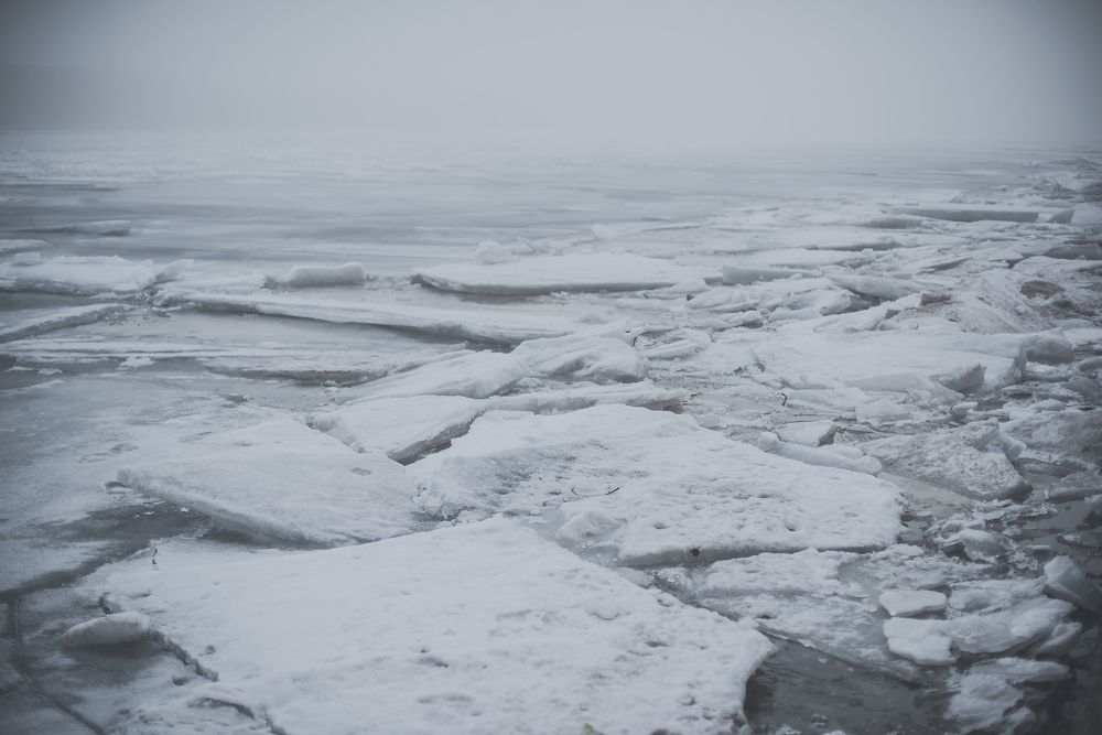 Photograph by Инна Фокина