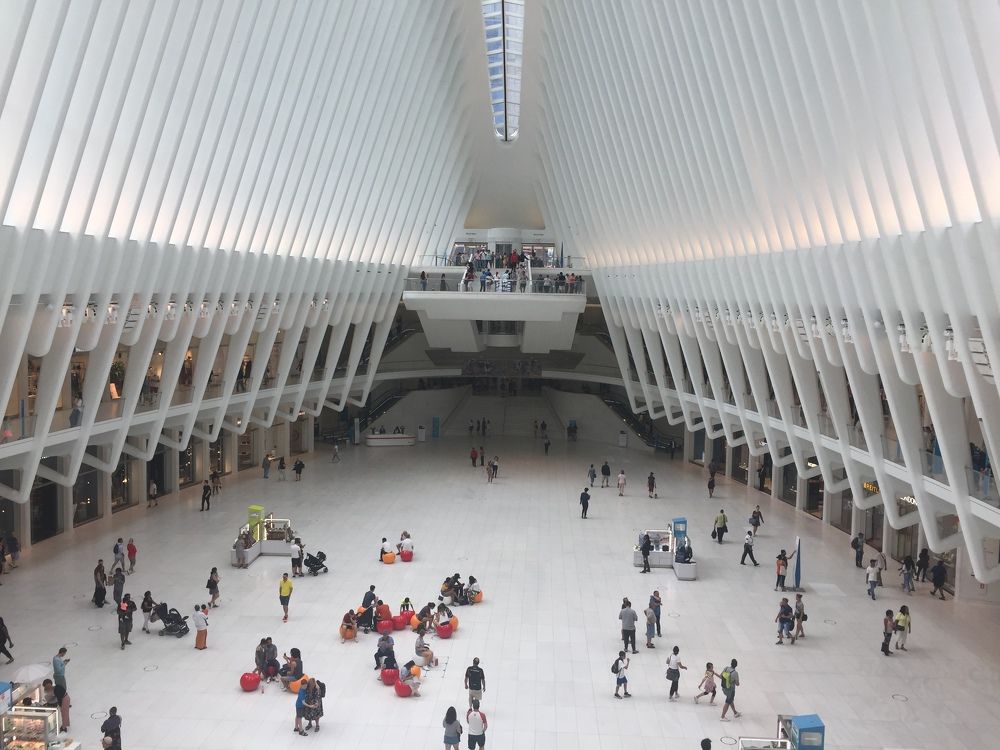 Inside the White Whale