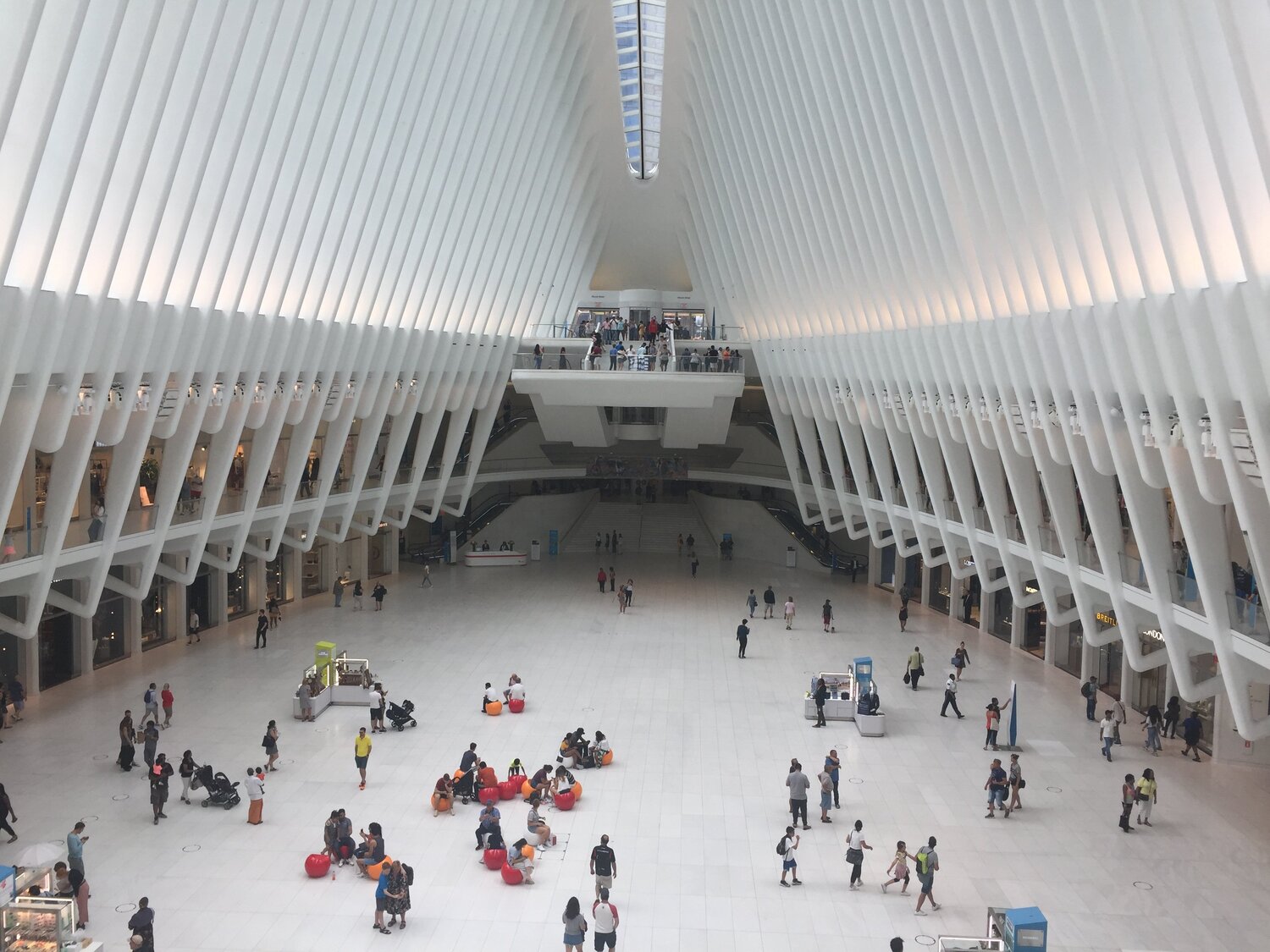 Inside the White Whale