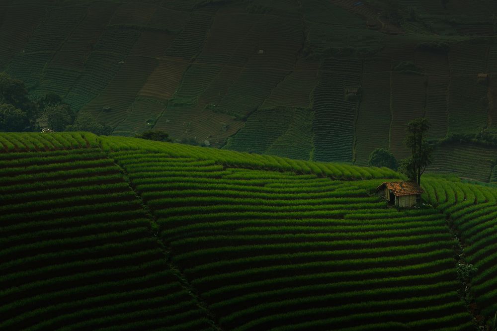 the hill panyaweuyan