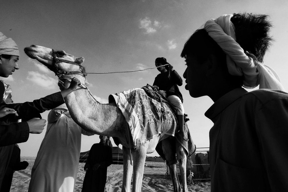 The Children of Desert