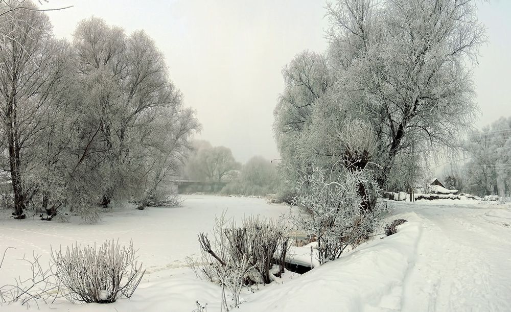 Зимняя панорама