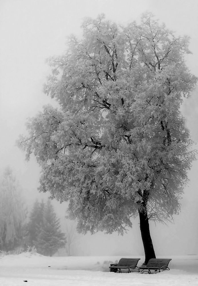 Место встречи