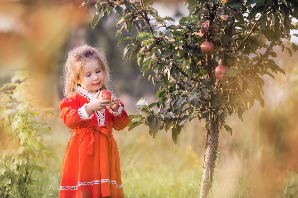 яблочный спас