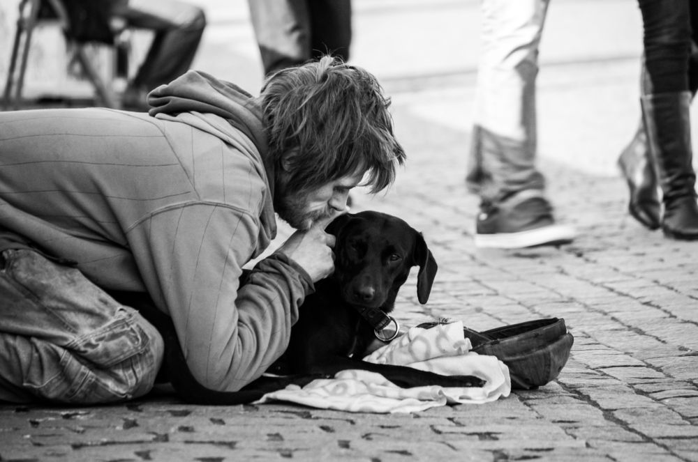 Нищий и собака.