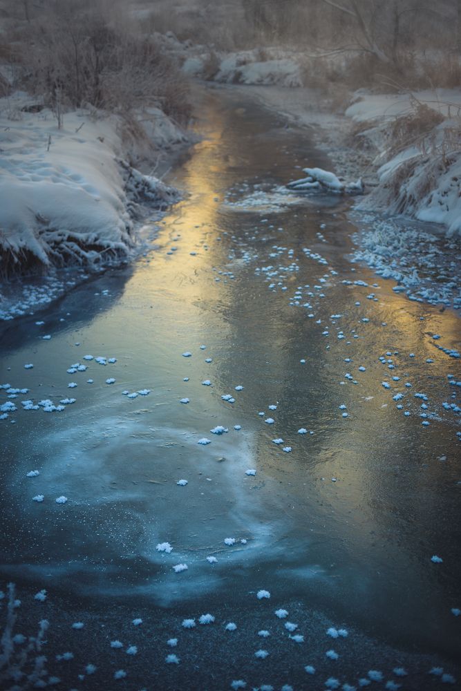 Photograph by Инна Фокина