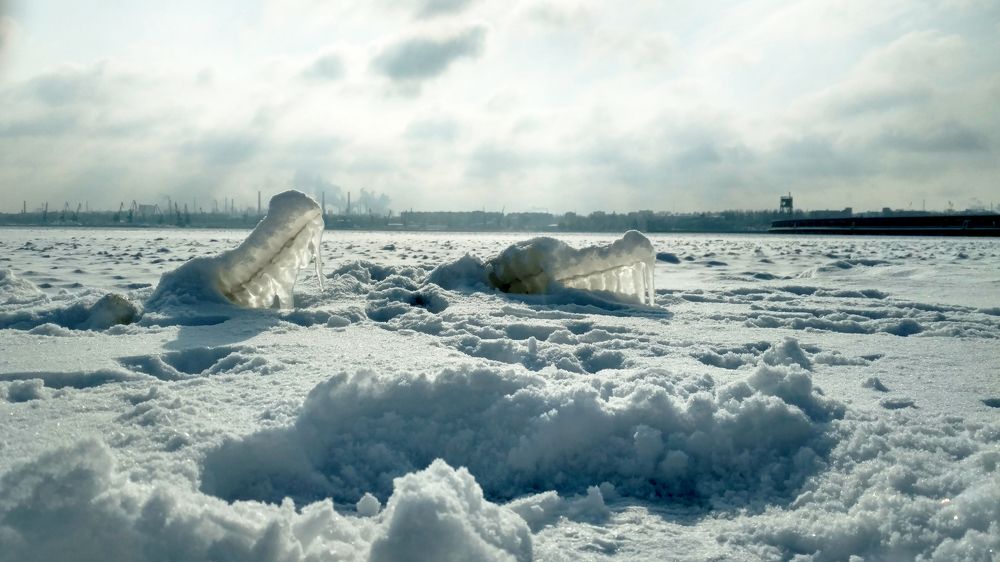Ice Crocodiles of the Snowy River