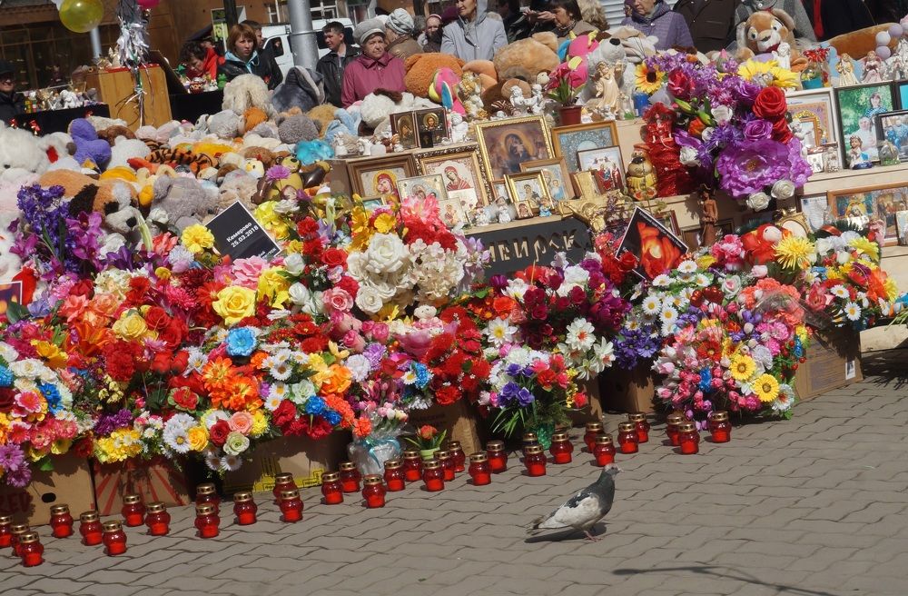 Скорбящий голубь - душа одного из погибших в Зимней Вишне детей