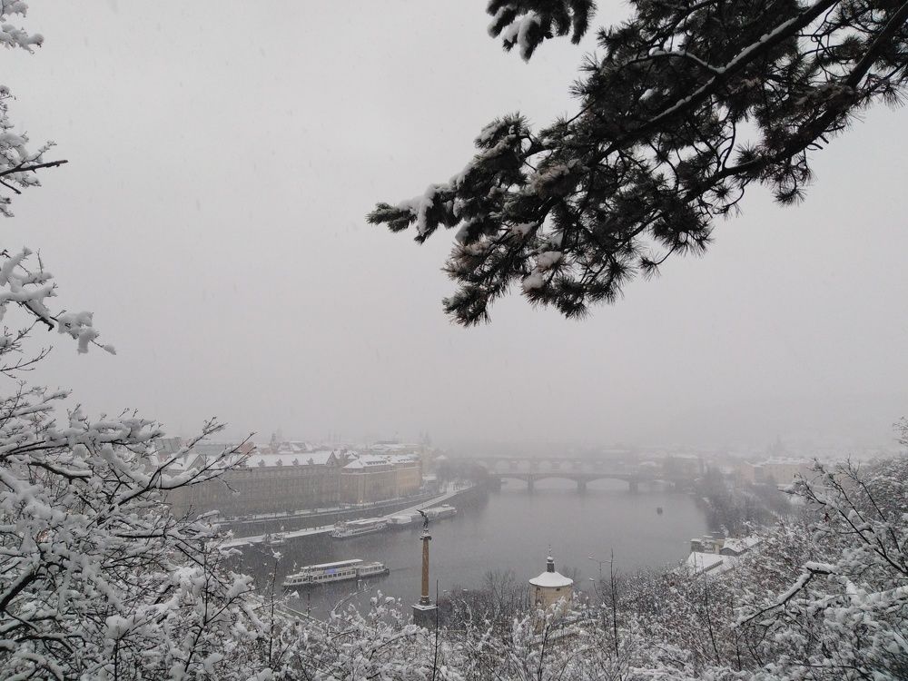 Photo #2956820
