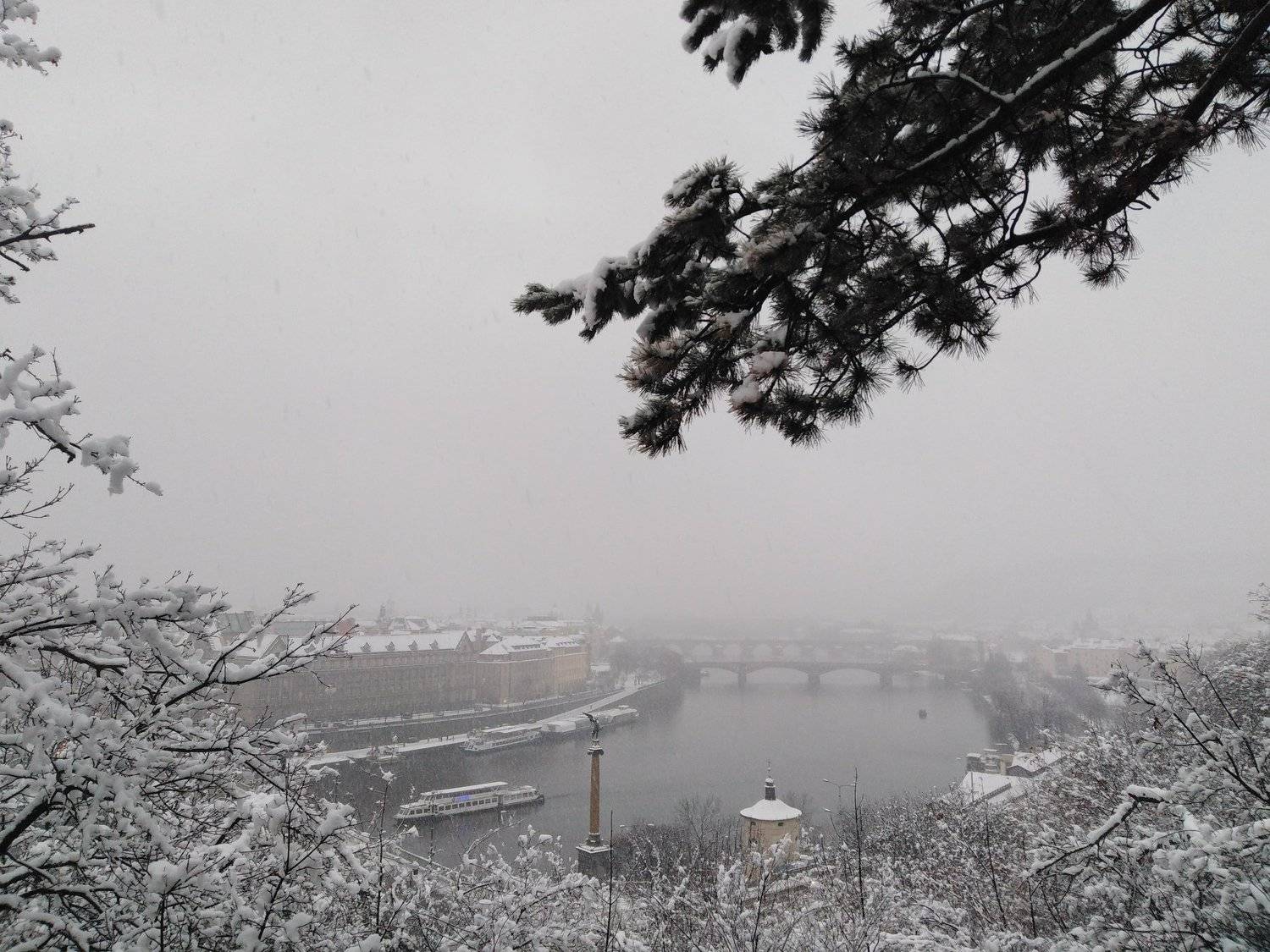 Photo #2956820