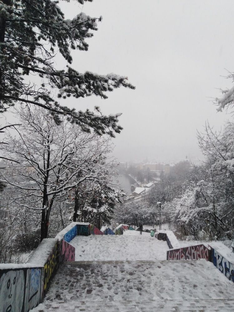 Photo #2956829