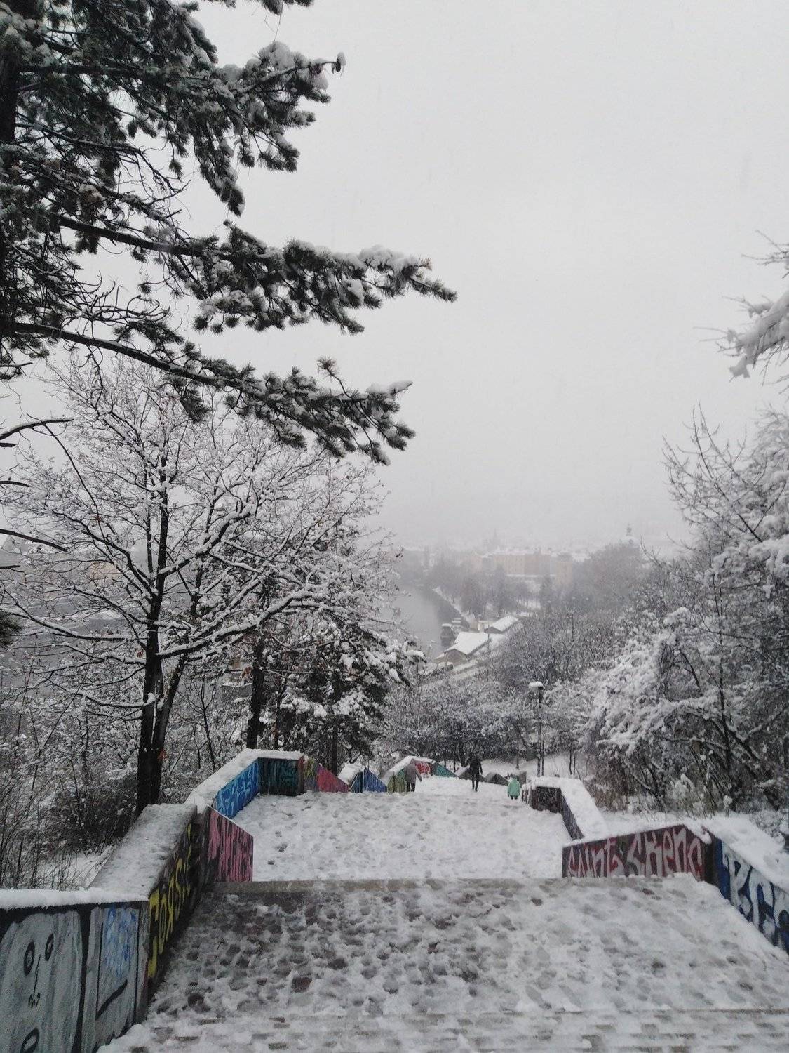 Photo #2956829