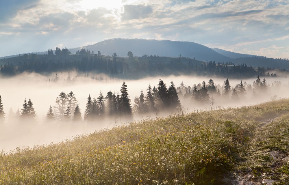 Photograph by Юлия Рублевская