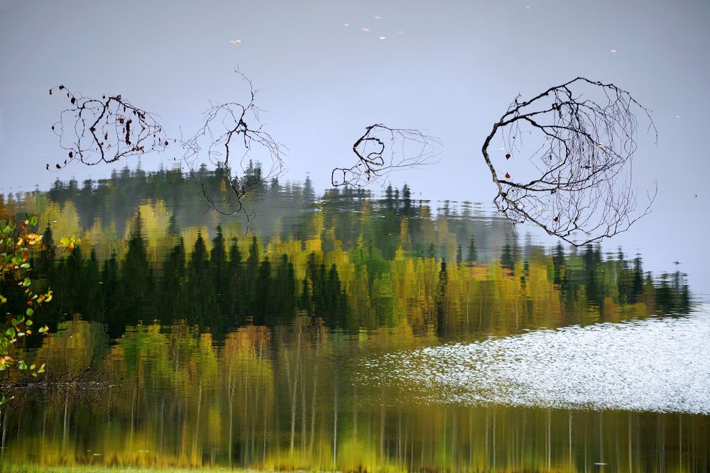 Погружение в осень