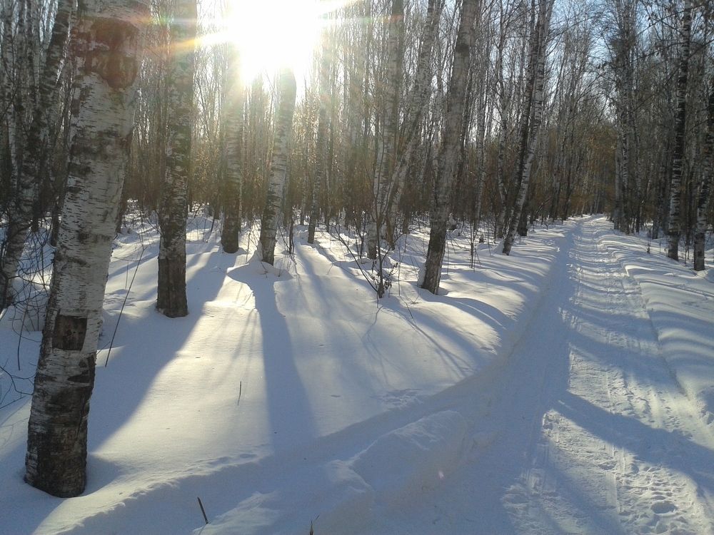 Photo #2957038