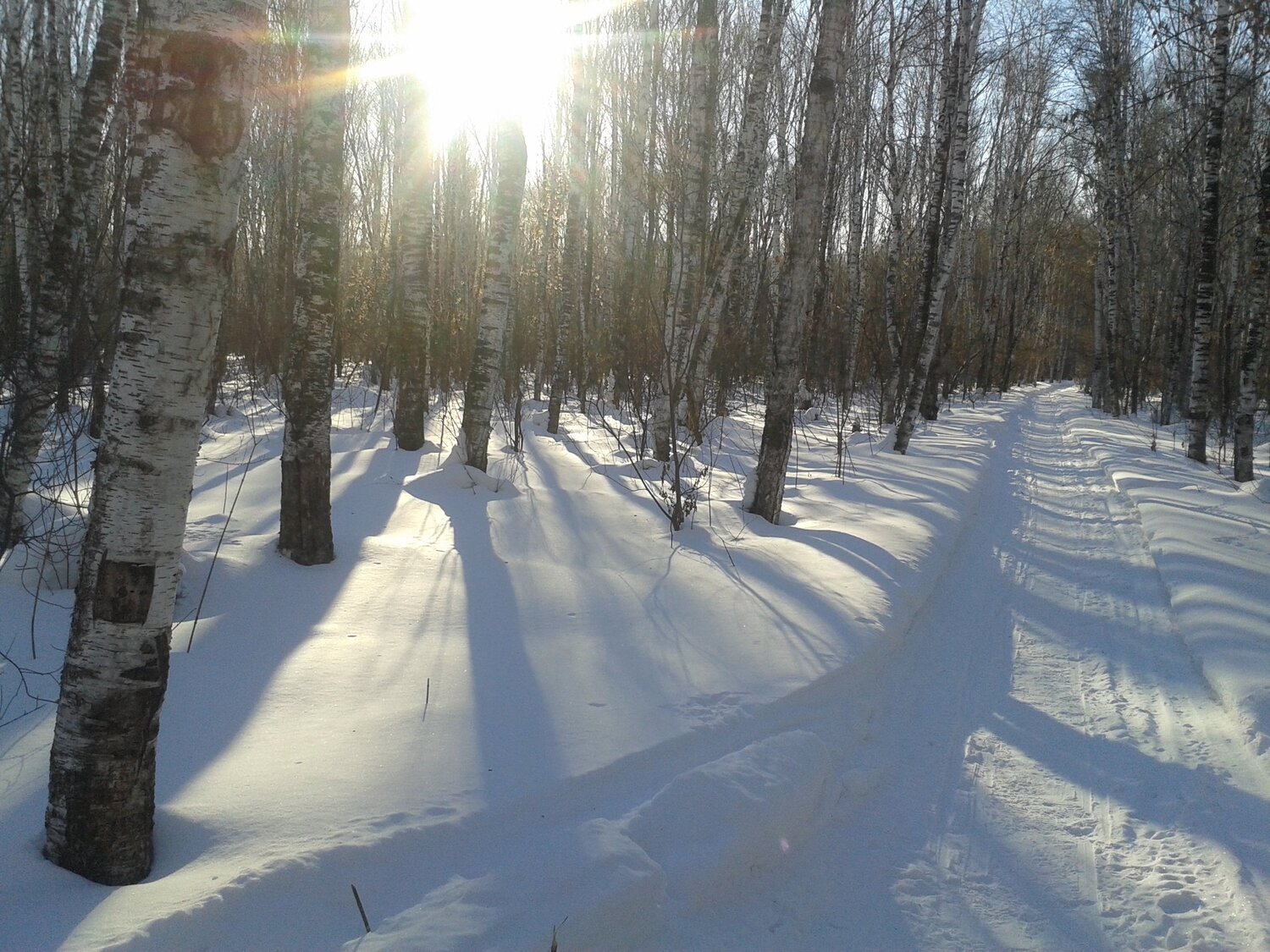 Photo #2957038