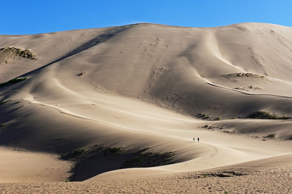 Песчаные барханы Хонгорын Элс (Светло-рыжие пески).