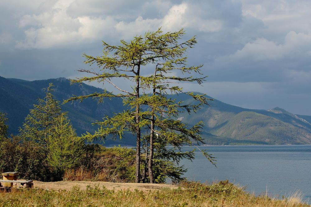 Байкальский берег возле пади Малая Кадильная