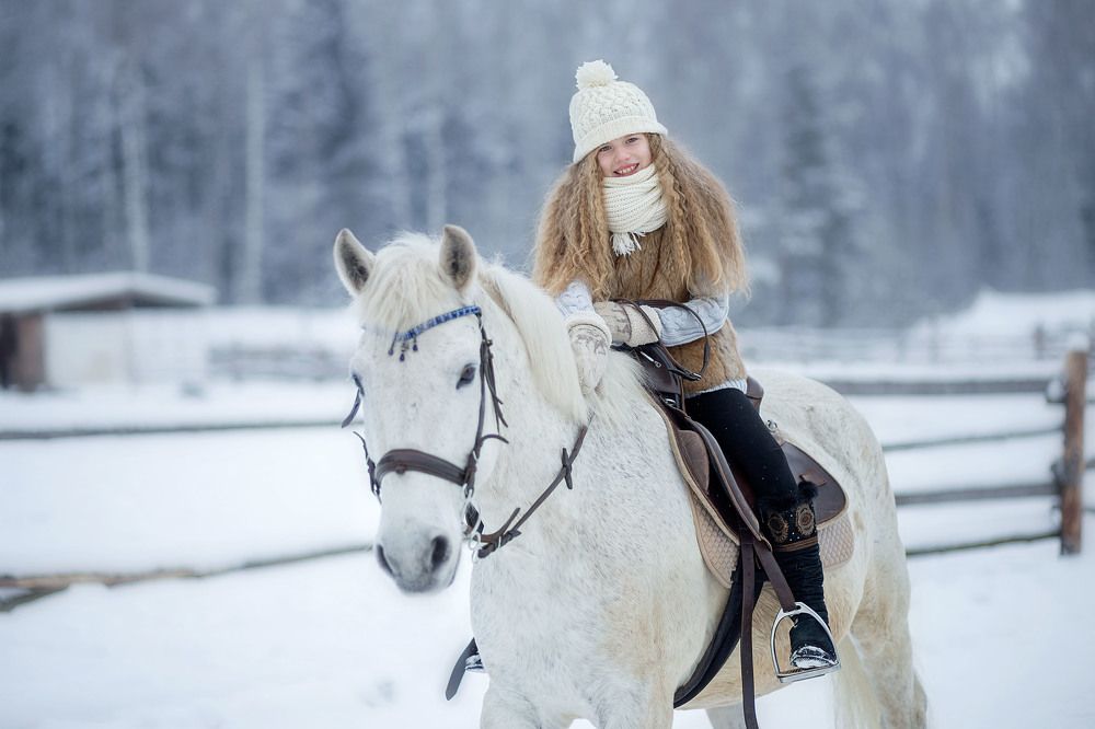 дружба крепкая