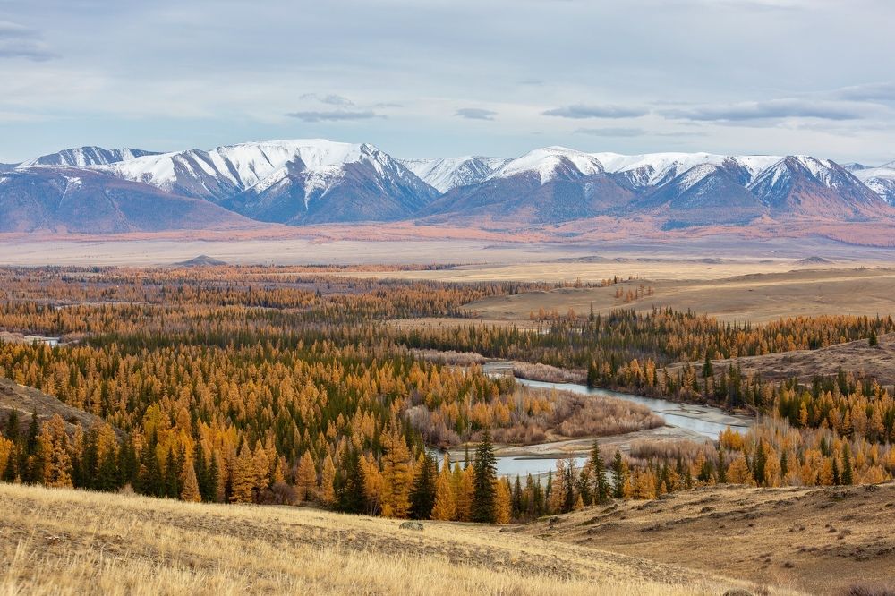 Октябрь. Курай.