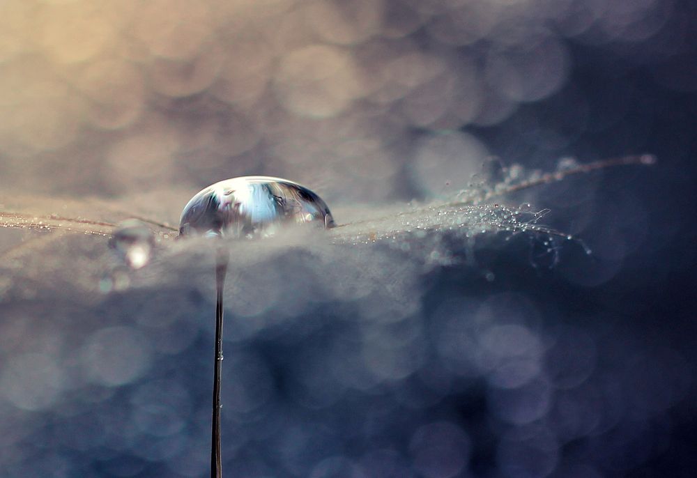 Photograph by Ольга Литвинова