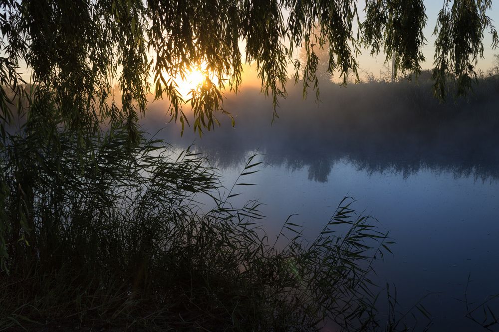 В брызгах солнца