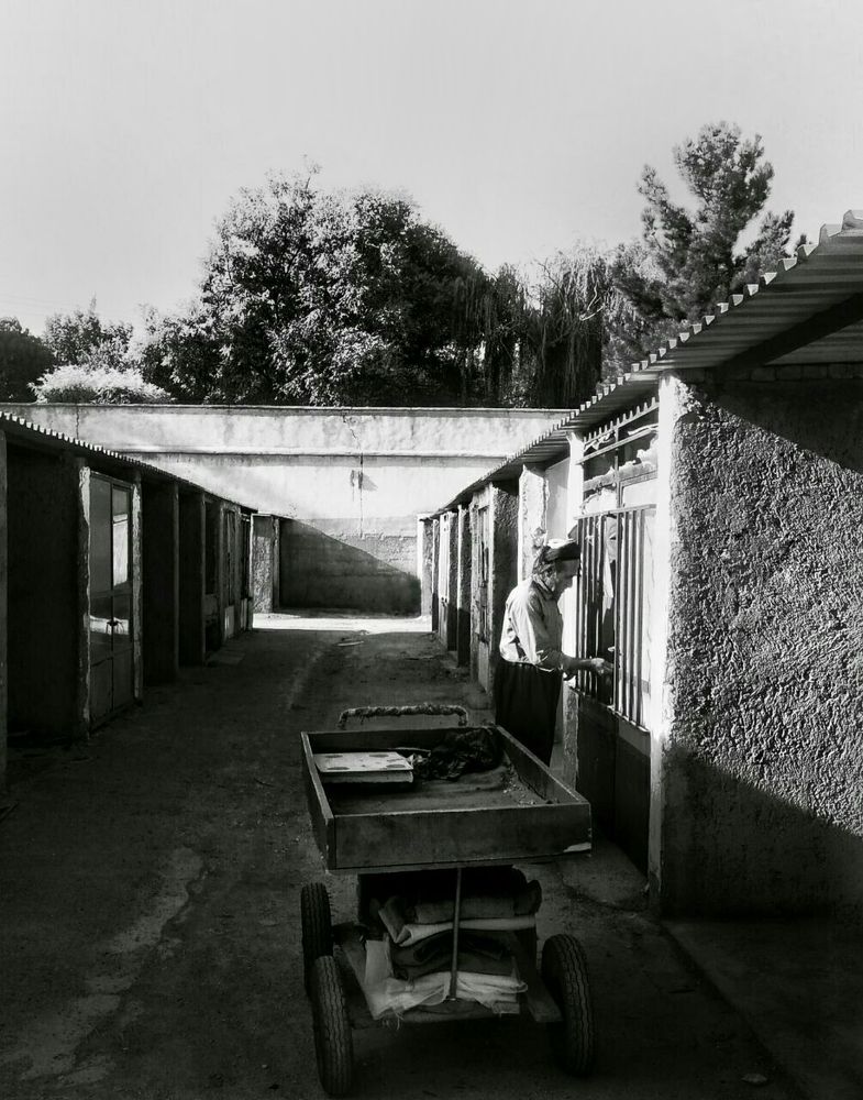 Photograph by Tara khezrian