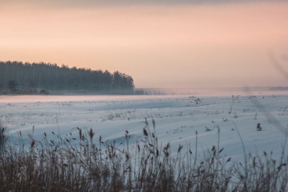 Красота по-сибирски