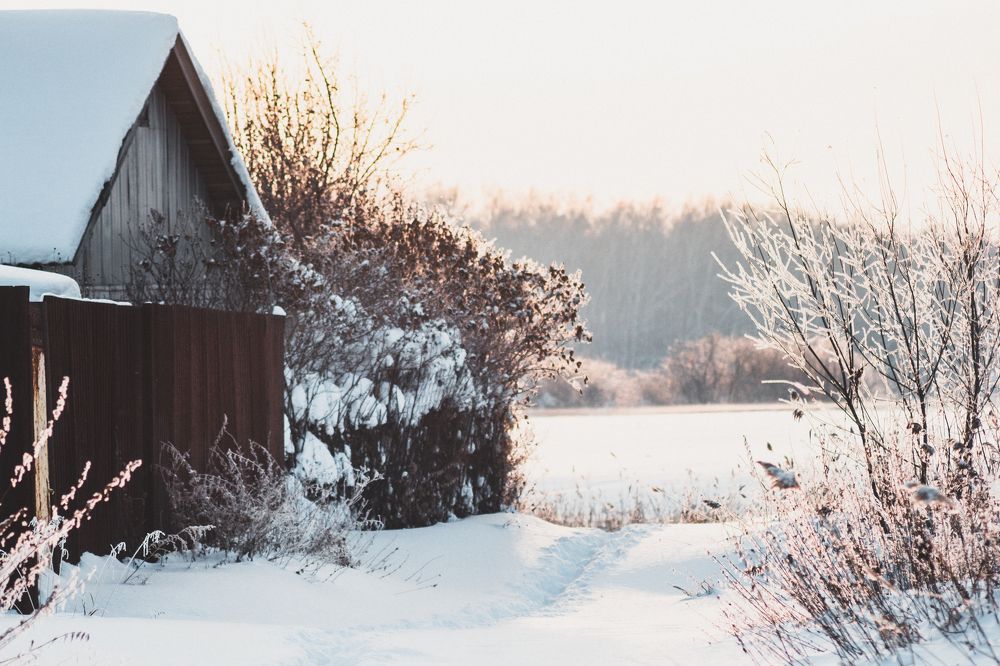 Тишина по-сибирски