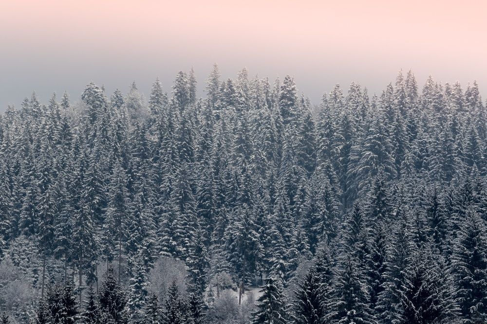 Tulghes, Romania