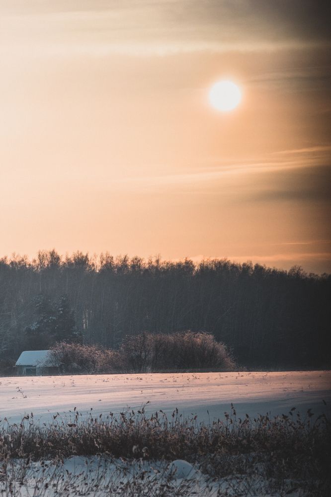 Красота по-сибирски