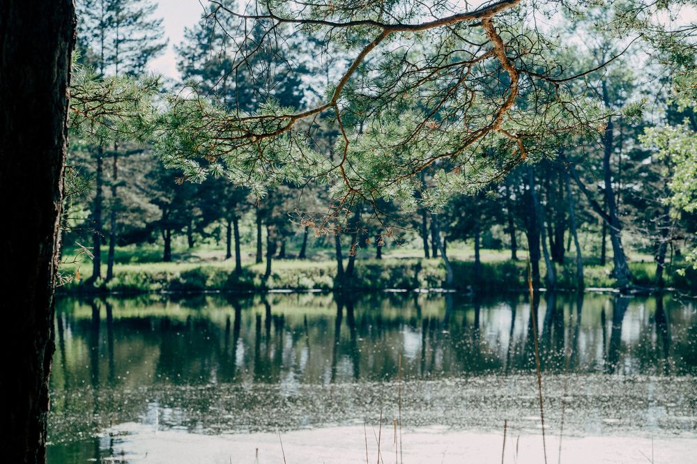 Изумруд природы