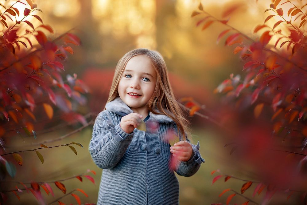 Фотография автора Вера Гресс