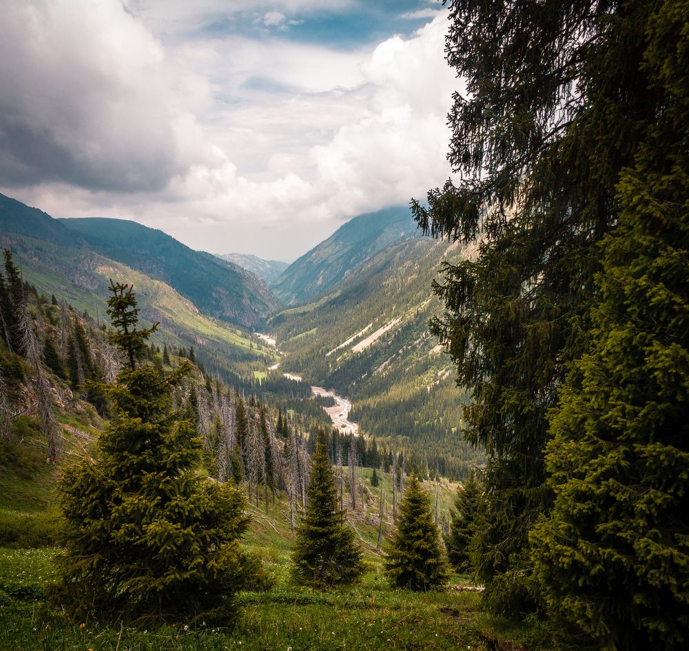 Ущелье р. Левый Талгар