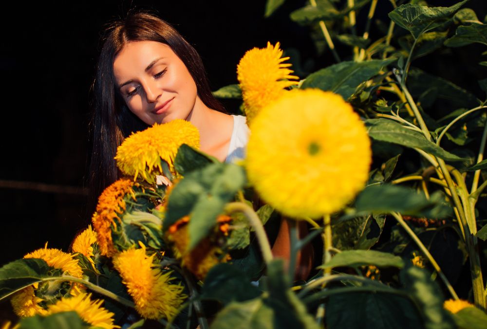 Подсолнухи!!!