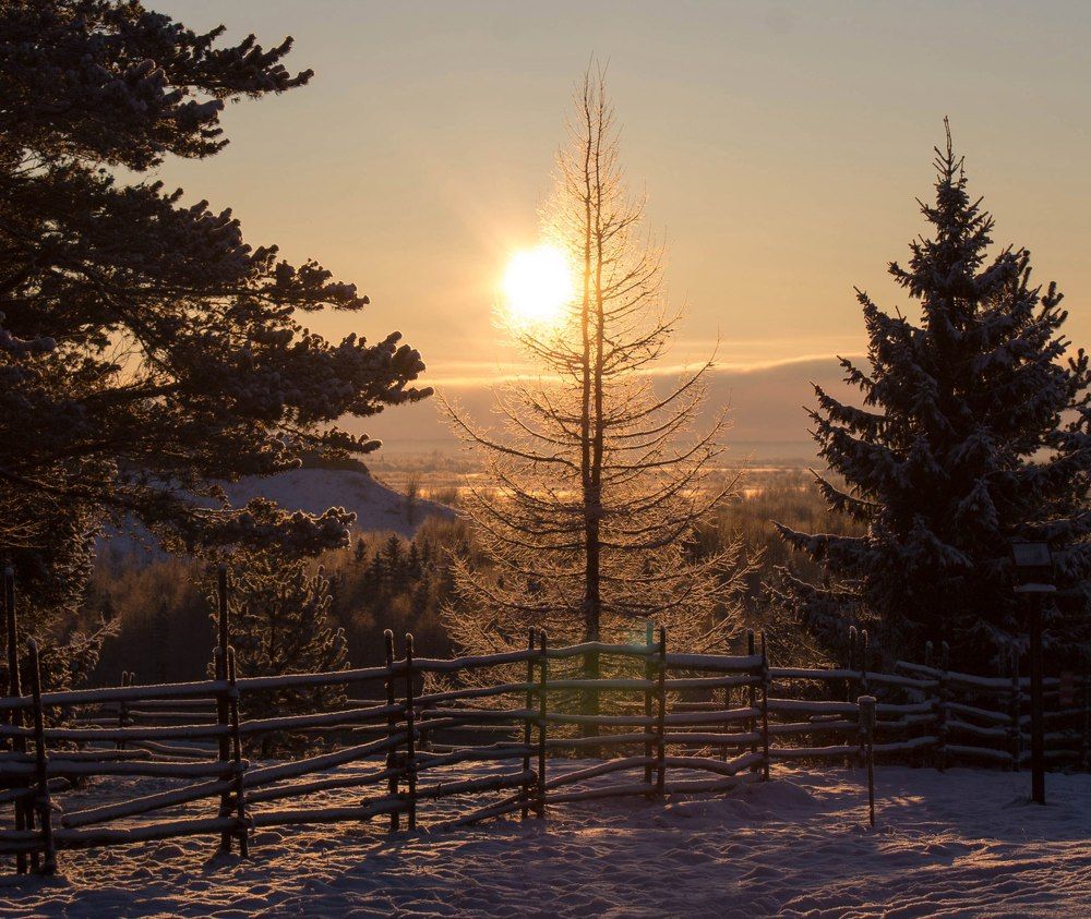 Зимнее солнце