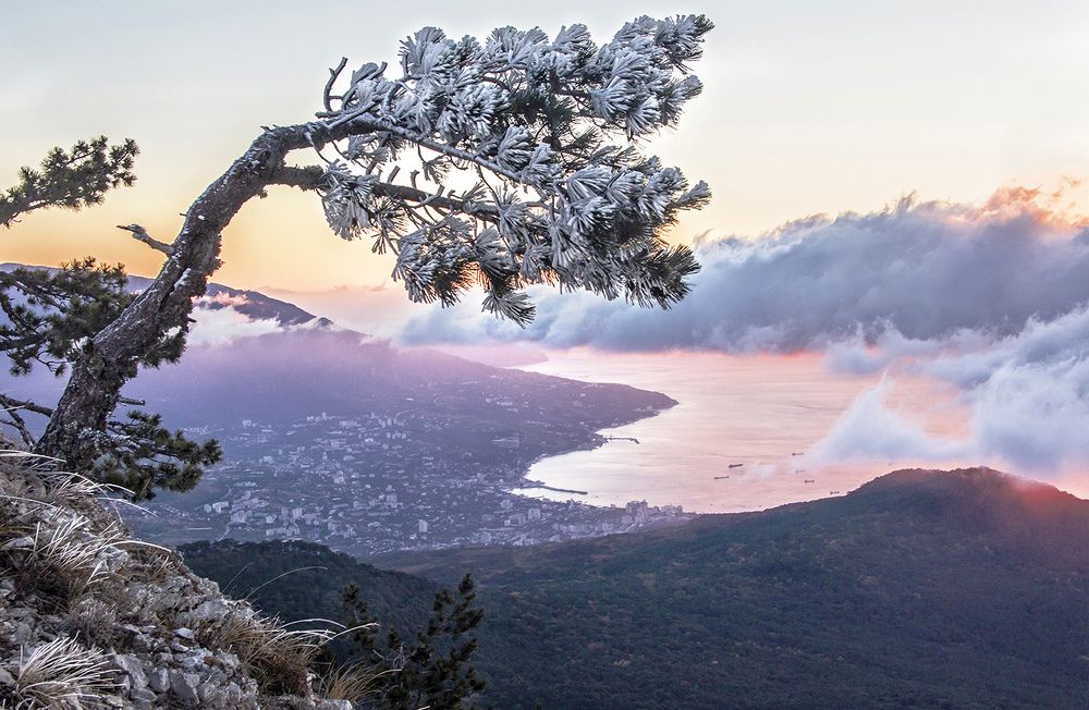 Ялта. Зимнее утро.