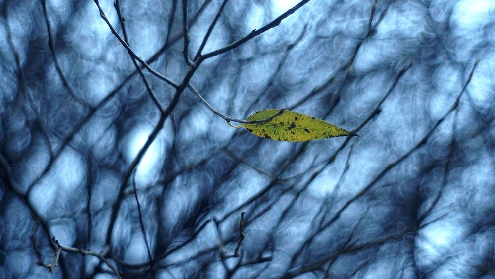 Photograph by Dzianis Mizhui