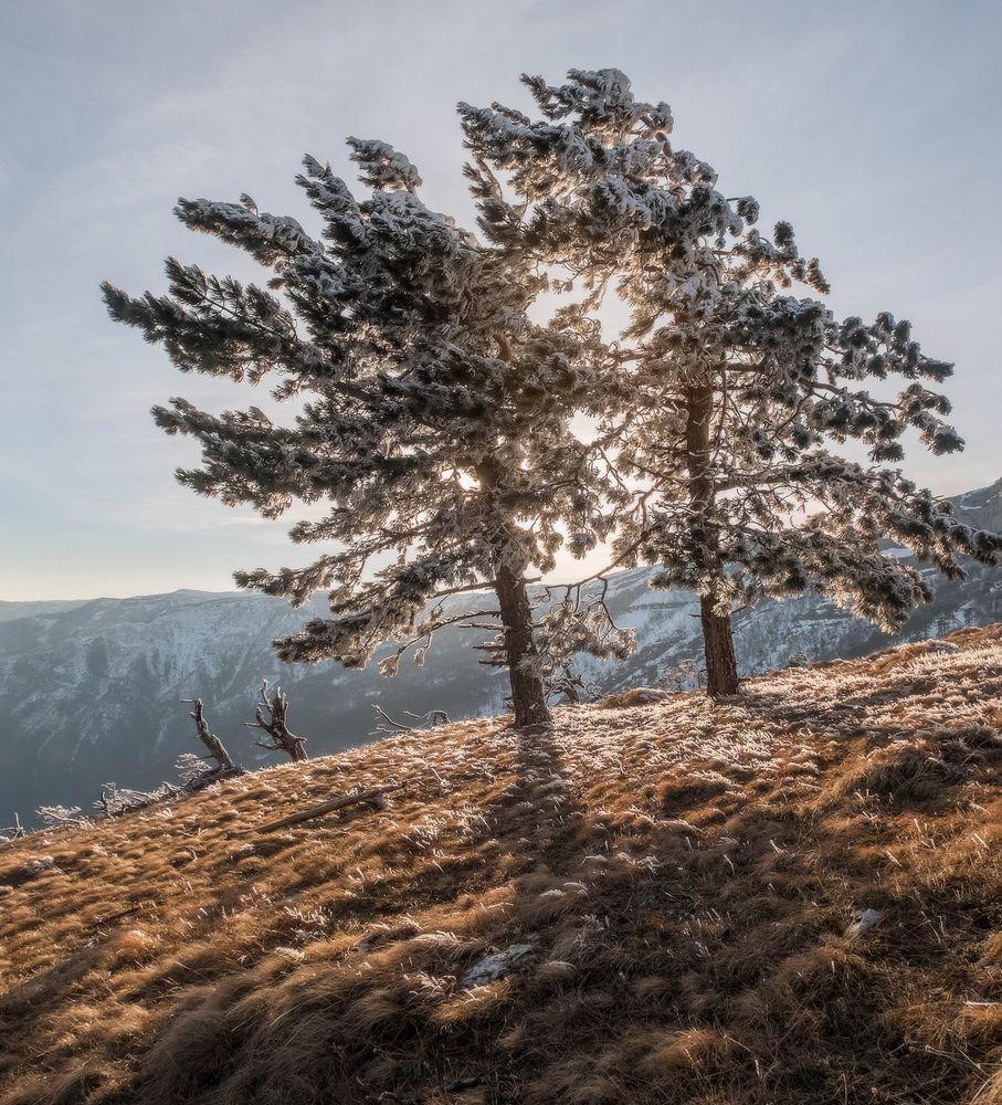 Photograph by Михаил Гапонов