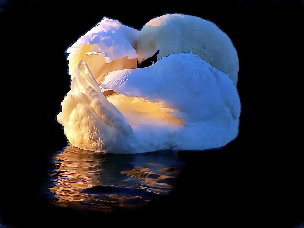 Photograph by 
