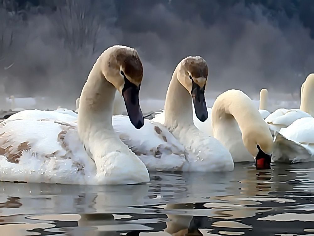 Photograph by 